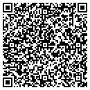 QR code with Protocol contacts