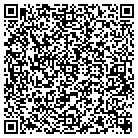 QR code with Pueblo Security Systems contacts
