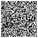 QR code with Cyclone Home Systems contacts