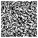 QR code with Provision Security contacts