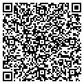 QR code with Afscme contacts