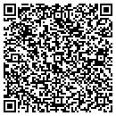 QR code with Pulliam Enterprises Inc contacts