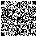 QR code with Pure Pandemonium LLC contacts