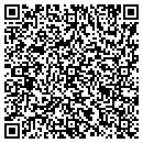 QR code with Cook Scott C Janice M contacts