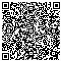 QR code with Webster contacts