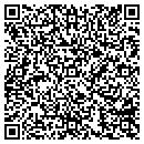 QR code with Pro Tech Systems Inc contacts