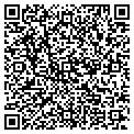 QR code with C4GI's contacts