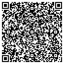 QR code with Carpet Artists contacts