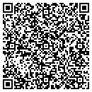 QR code with Precision Guide contacts