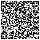 QR code with Precision Parts Inc contacts