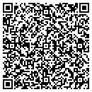 QR code with Pure At Heart Daycare contacts