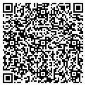 QR code with M Cox contacts