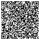 QR code with Fireplaces Plus contacts