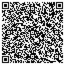 QR code with Public Storage contacts