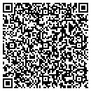QR code with Premier Automation contacts