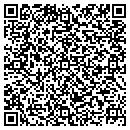 QR code with Pro Block Engineering contacts