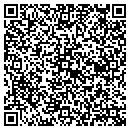 QR code with Cobra Security Plus contacts