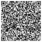 QR code with Pulsar Alarm Systems contacts