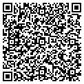 QR code with Solardog contacts