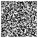 QR code with Project Solutions Inc contacts
