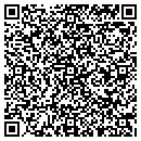 QR code with Precision Automotive contacts