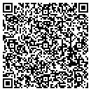 QR code with Cobra Security Inc contacts