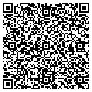 QR code with Cybersource Consulting contacts