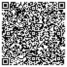 QR code with Public Safety Installation contacts