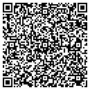 QR code with Borgen Systems contacts