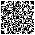 QR code with Colink contacts