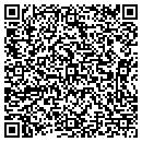 QR code with Premier Electronics contacts
