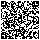 QR code with Protectionone contacts