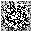 QR code with Progress Inc contacts
