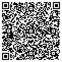 QR code with Amstec contacts