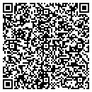 QR code with Christianson Dennis W contacts