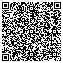 QR code with Premier Masonry Inc contacts