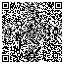 QR code with Progressive Masonry contacts