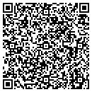 QR code with Princeton Review contacts