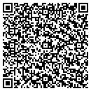 QR code with Princeton Review contacts