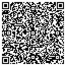 QR code with Pyramid Academy contacts