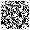 QR code with Pyramid Academy contacts