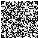 QR code with Premium Workshop Inc contacts