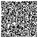 QR code with Pragmatic Systems Inc contacts