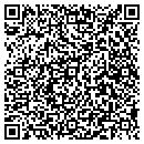 QR code with Professional Solar contacts