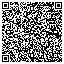 QR code with Premier Performance contacts