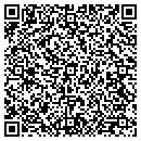QR code with Pyramid Masonry contacts