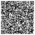 QR code with N Sandy contacts