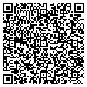QR code with Sng Massonry Inc contacts