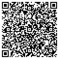 QR code with Avecho contacts