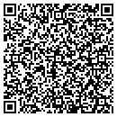 QR code with Cobra Home Security contacts